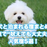【最新版】犬と泊まれる宿まとめ｜関東で“吠えても大丈夫”な人気宿5選！