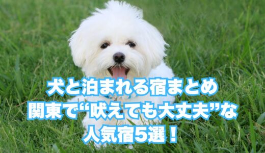 【最新版】犬と泊まれる宿まとめ｜関東で“吠えても大丈夫”な人気宿5選！